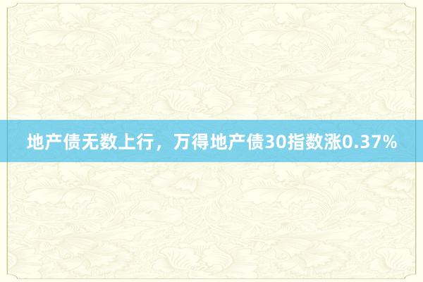 地产债无数上行，万得地产债30指数涨0.37%