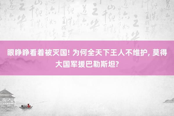 眼睁睁看着被灭国! 为何全天下王人不维护, 莫得大国军援巴勒斯坦?