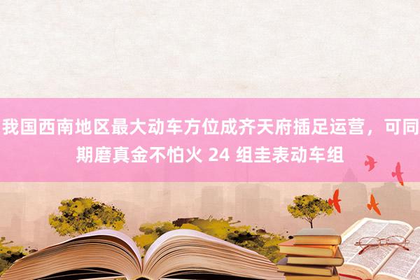 我国西南地区最大动车方位成齐天府插足运营，可同期磨真金不怕火 24 组圭表动车组