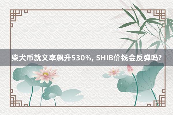 柴犬币就义率飙升530%, SHIB价钱会反弹吗?