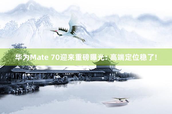 华为Mate 70迎来重磅曝光: 高端定位稳了!