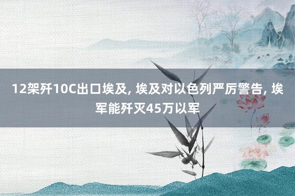 12架歼10C出口埃及, 埃及对以色列严厉警告, 埃军能歼灭45万以军