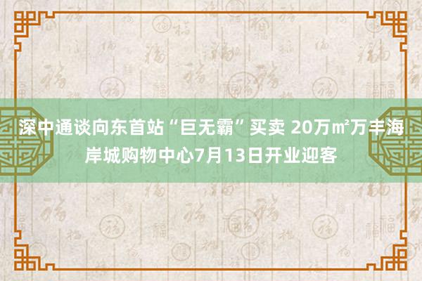 深中通谈向东首站“巨无霸”买卖 20万㎡万丰海岸城购物中心7月13日开业迎客