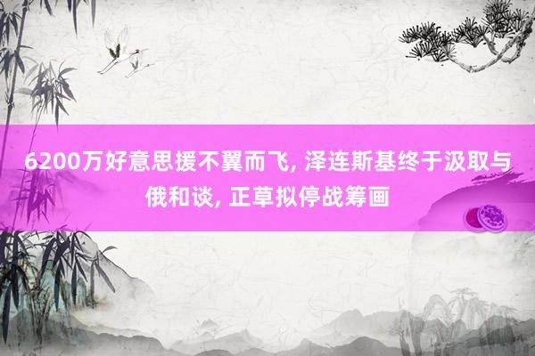 6200万好意思援不翼而飞, 泽连斯基终于汲取与俄和谈, 正草拟停战筹画