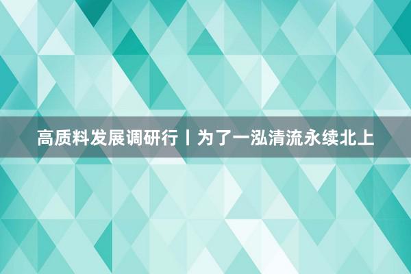 高质料发展调研行丨为了一泓清流永续北上