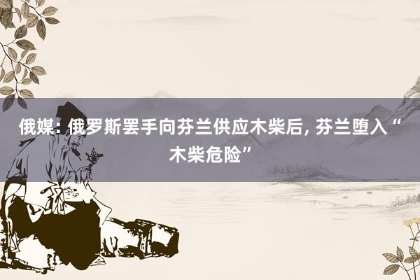 俄媒: 俄罗斯罢手向芬兰供应木柴后, 芬兰堕入“木柴危险”