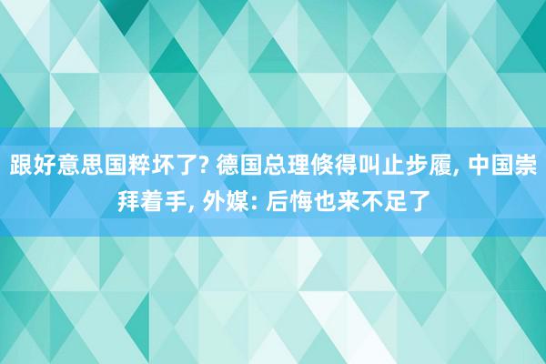 跟好意思国粹坏了? 德国总理倏得叫止步履, 中国崇拜着手, 外媒: 后悔也来不足了