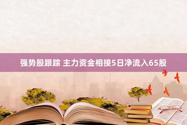 强势股跟踪 主力资金相接5日净流入65股