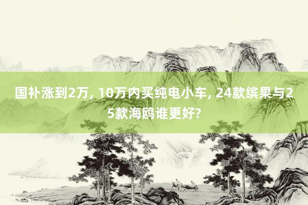 国补涨到2万, 10万内买纯电小车, 24款缤果与25款海鸥谁更好?