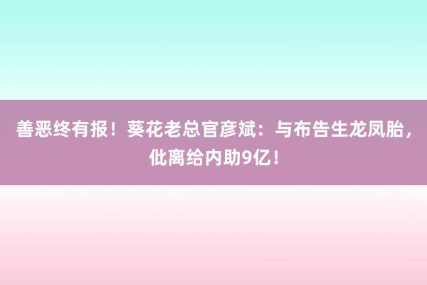 善恶终有报！葵花老总官彦斌：与布告生龙凤胎，仳离给内助9亿！