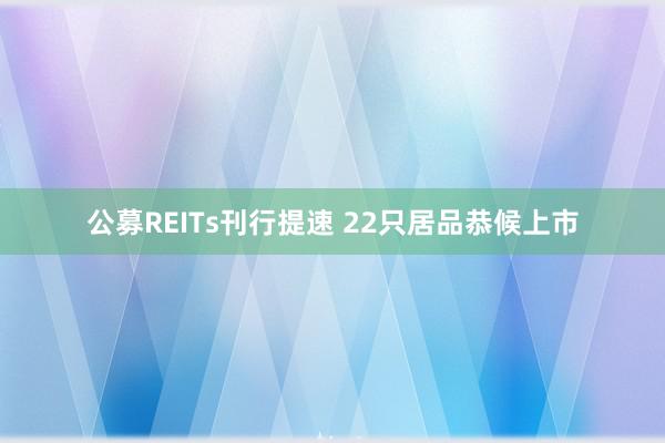 公募REITs刊行提速 22只居品恭候上市