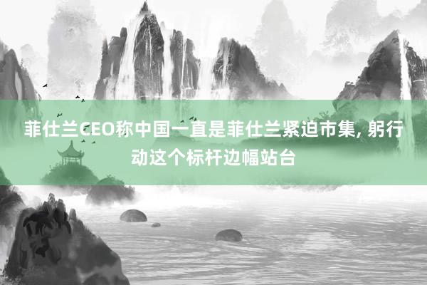 菲仕兰CEO称中国一直是菲仕兰紧迫市集, 躬行动这个标杆边幅站台