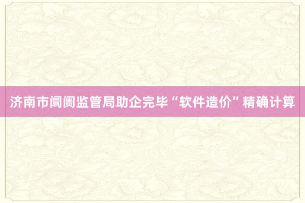 济南市阛阓监管局助企完毕“软件造价”精确计算