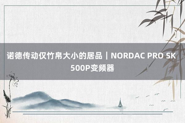 诺德传动仅竹帛大小的居品｜NORDAC PRO SK 500P变频器