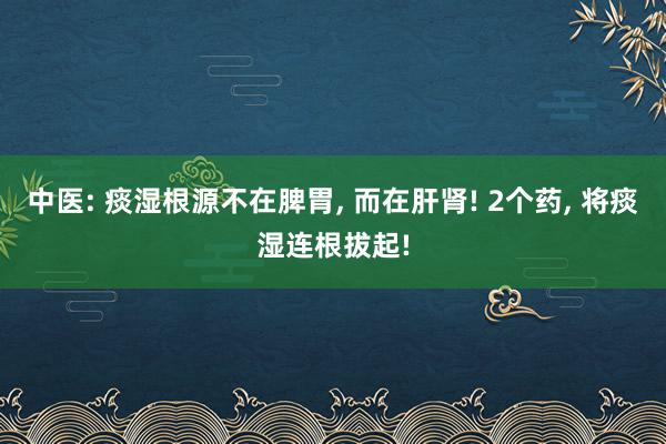 中医: 痰湿根源不在脾胃, 而在肝肾! 2个药, 将痰湿连根拔起!