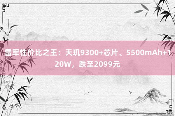 雷军性价比之王：天玑9300+芯片、5500mAh+120W，跌至2099元