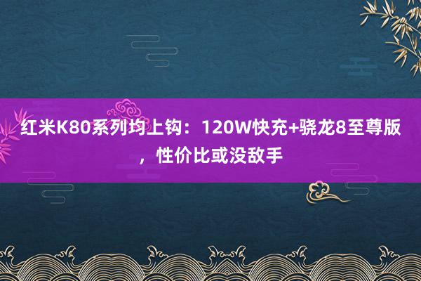 红米K80系列均上钩：120W快充+骁龙8至尊版，性价比或没敌手